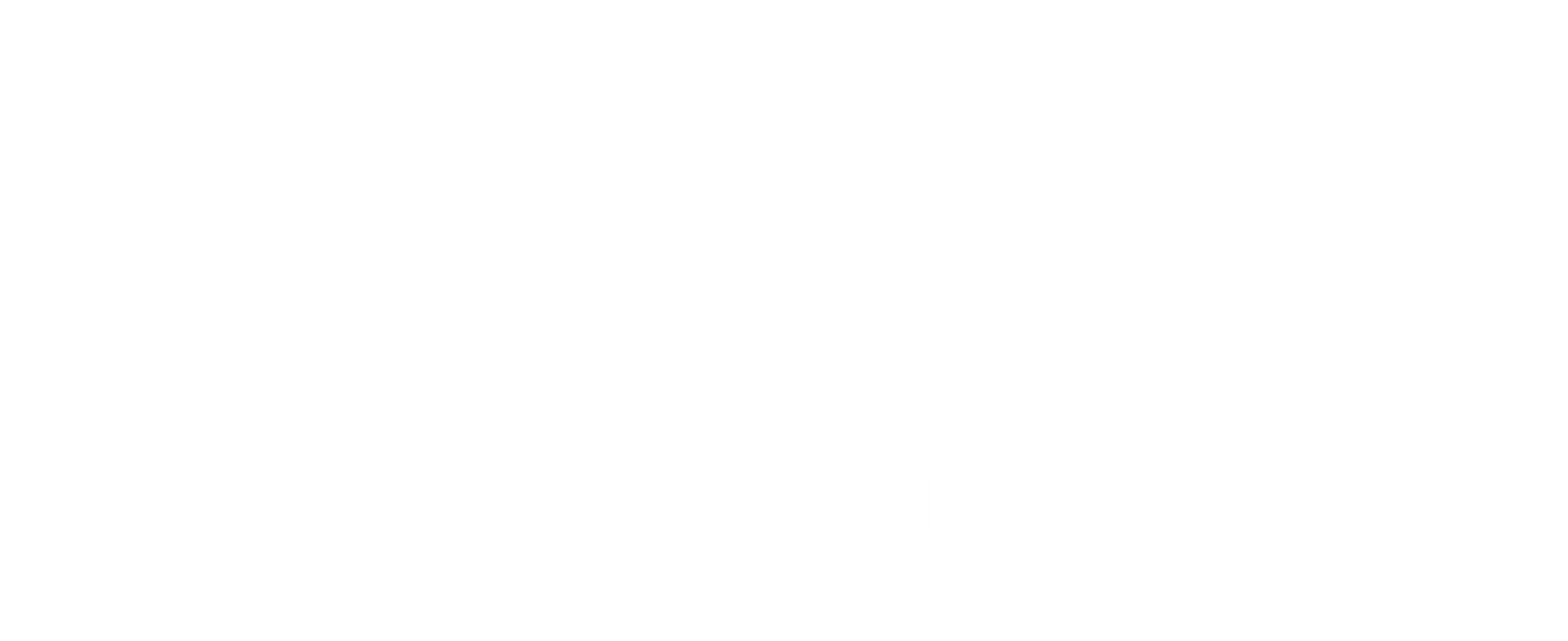 Logo Tesec Blanco 2026